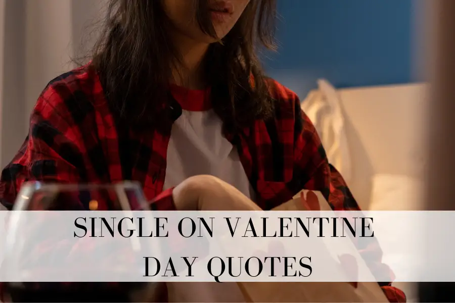 Single On Valentine Day Quotes