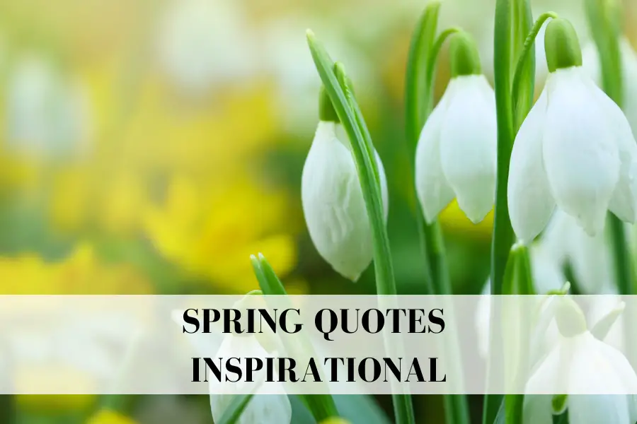 spring quotes inspirational