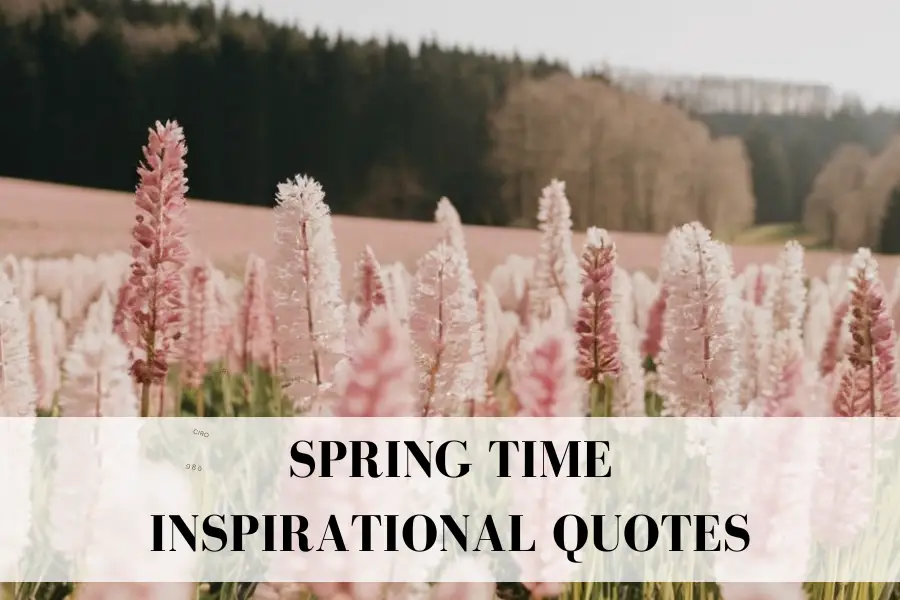citas inspiradoras para la primavera