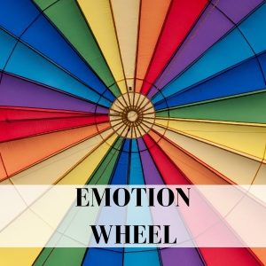emotion wheel