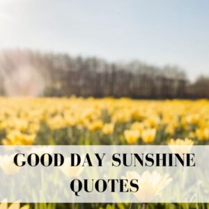 dobrý den sluníčko citáty